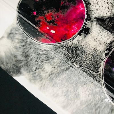 寵物食品自立拉鏈密封袋 寵物食品自立拉鏈密封袋